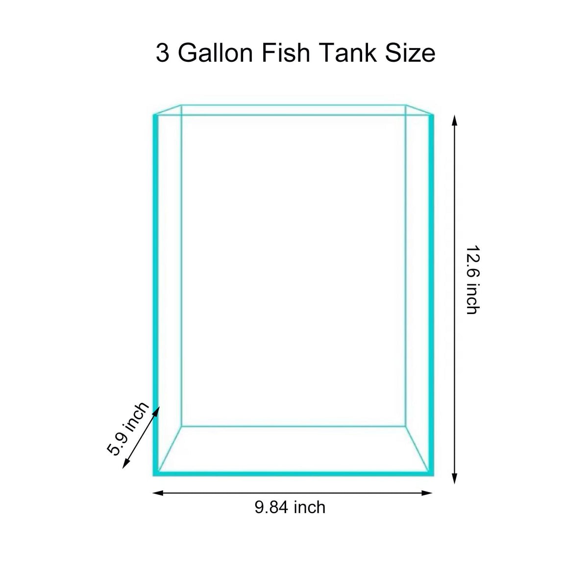 3 Gallon Glass Fish Tank G30844