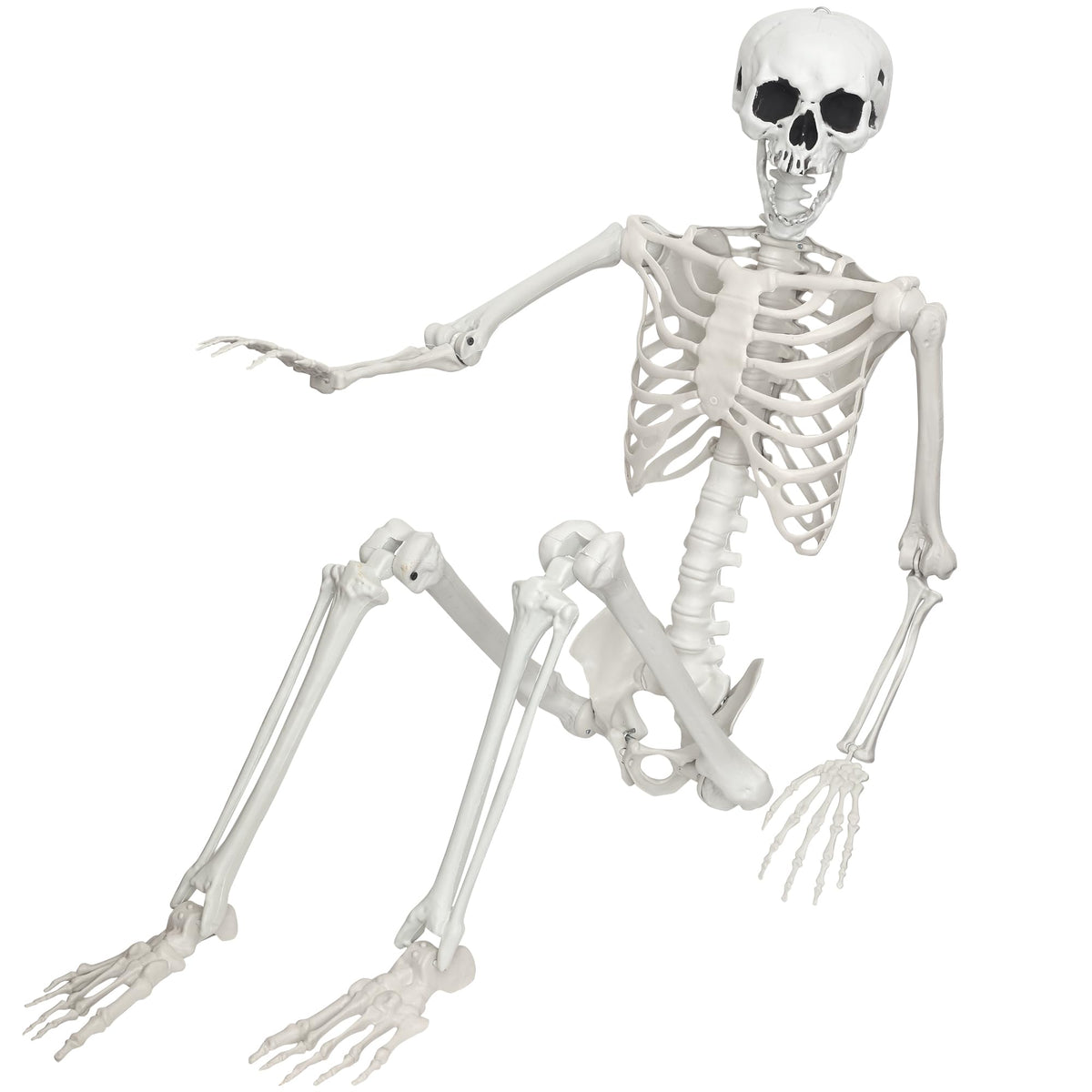 Life Size Posable Skeleton V714