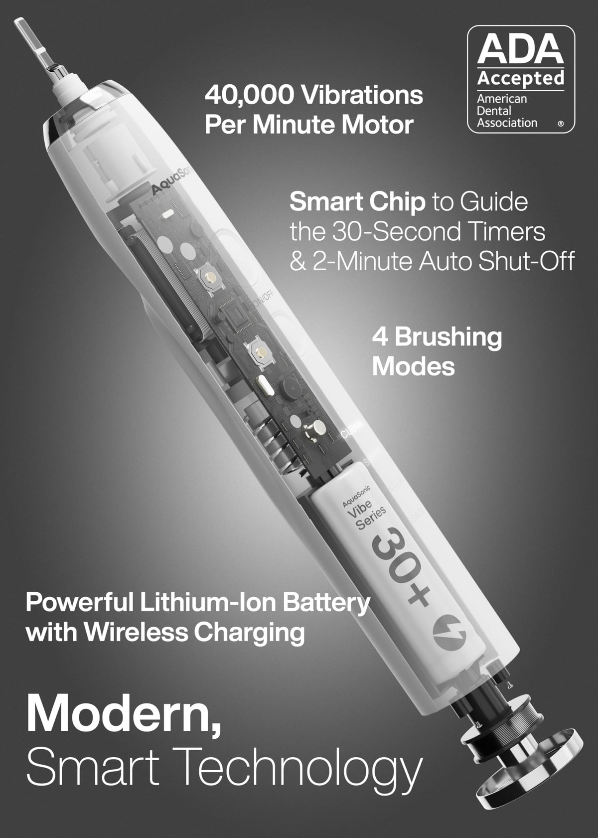 Electric Toothbrush with 8 Brush Heads & Travel Case X4095