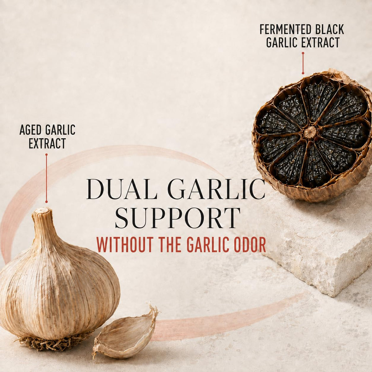 Aged Garlic Extract & Fermented Black Garlic Extract Softgels N6966