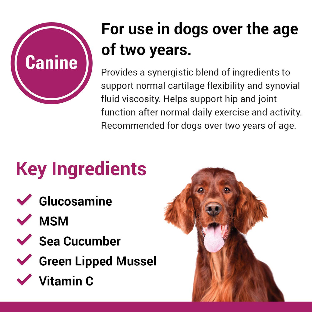120 Soft Chews Dog Joint Support Supplement P4264