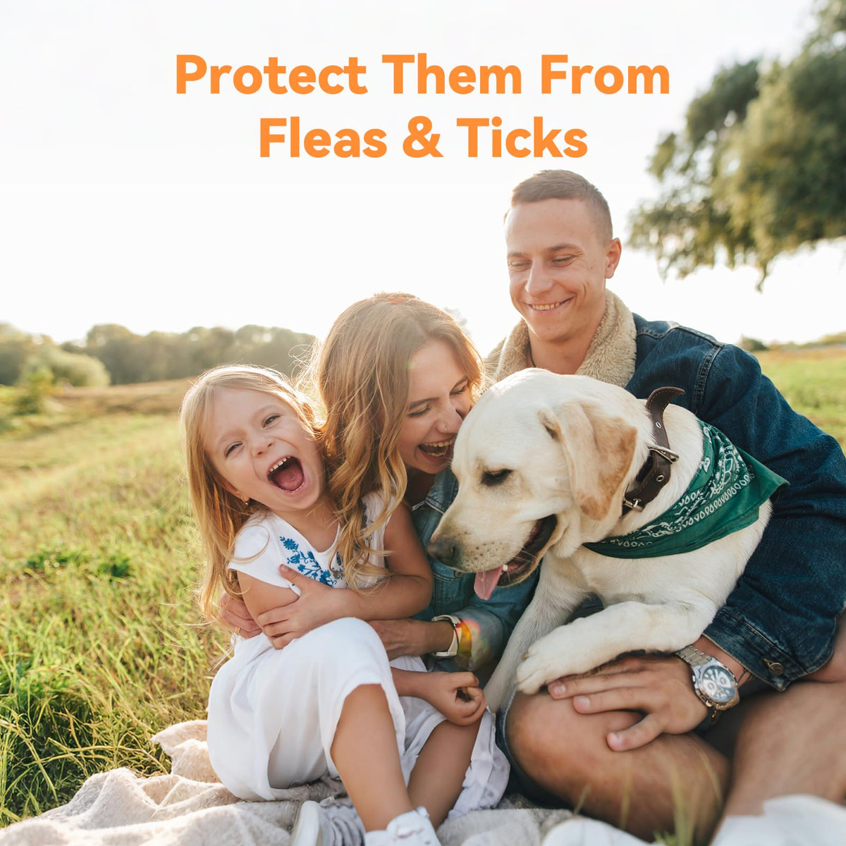 Flea and Tick Prevention for Small Dogs & Puppies, 3 Monthly Doses Y7162