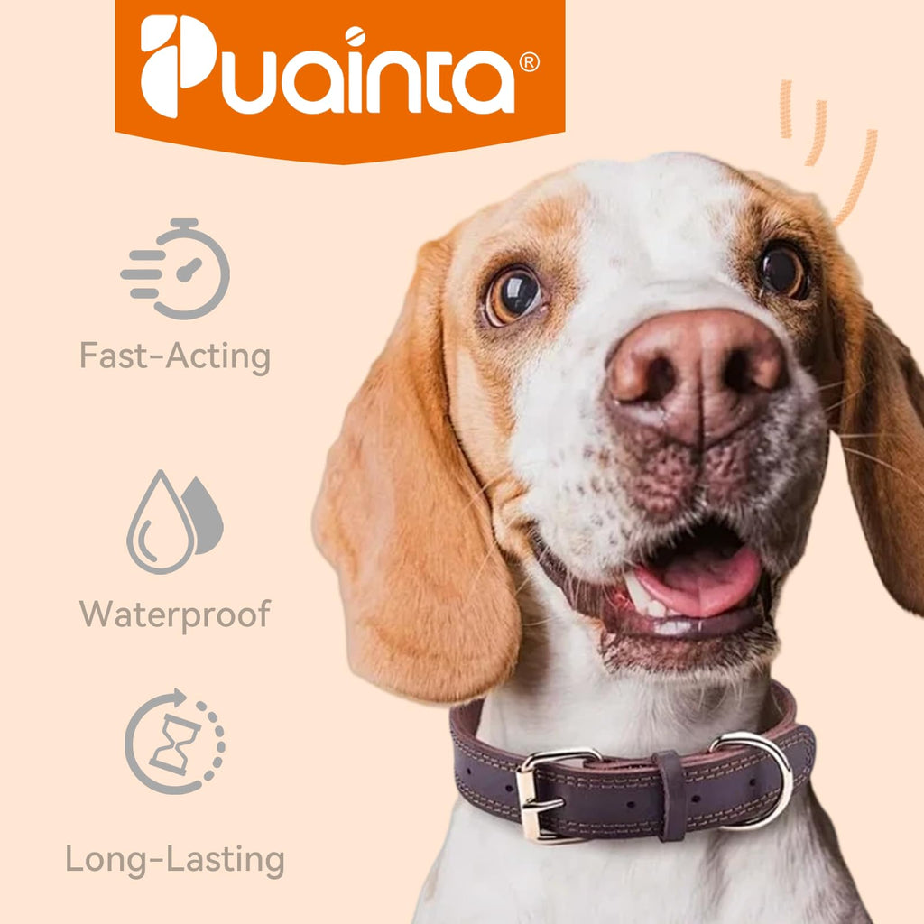 Flea and Tick Prevention for Small Dogs & Puppies, 3 Monthly Doses Y7162