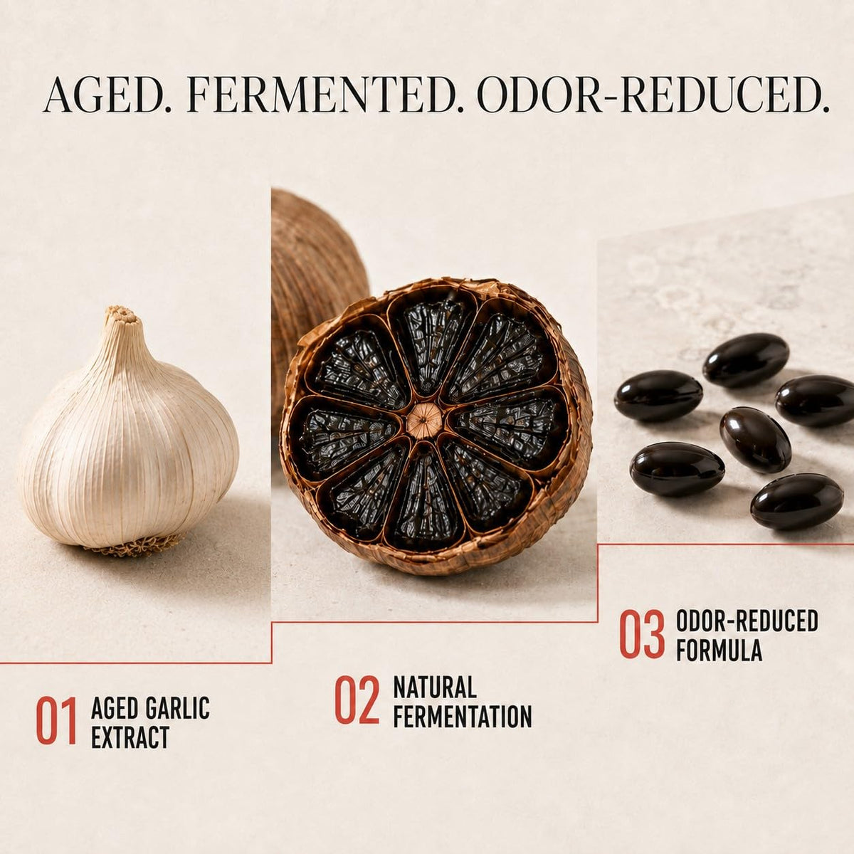 Aged Garlic Extract & Fermented Black Garlic Extract Softgels N6966