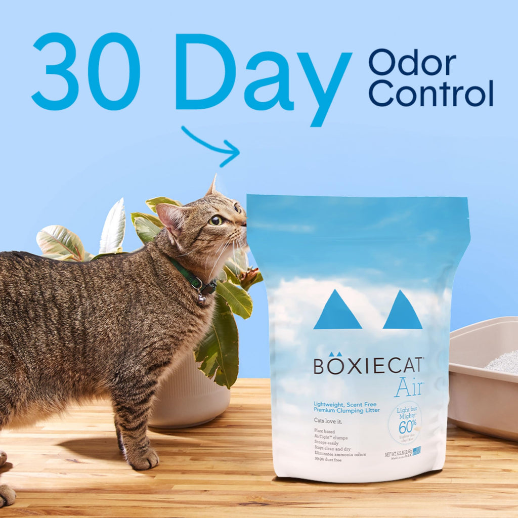 Unscented Natural Lightweight Cat Litter 11.5 lb H68020