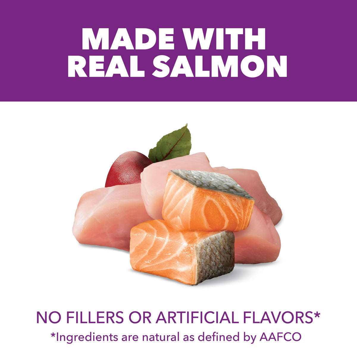 Chicken & Salmon Dry Dog Food 36 lb O82339