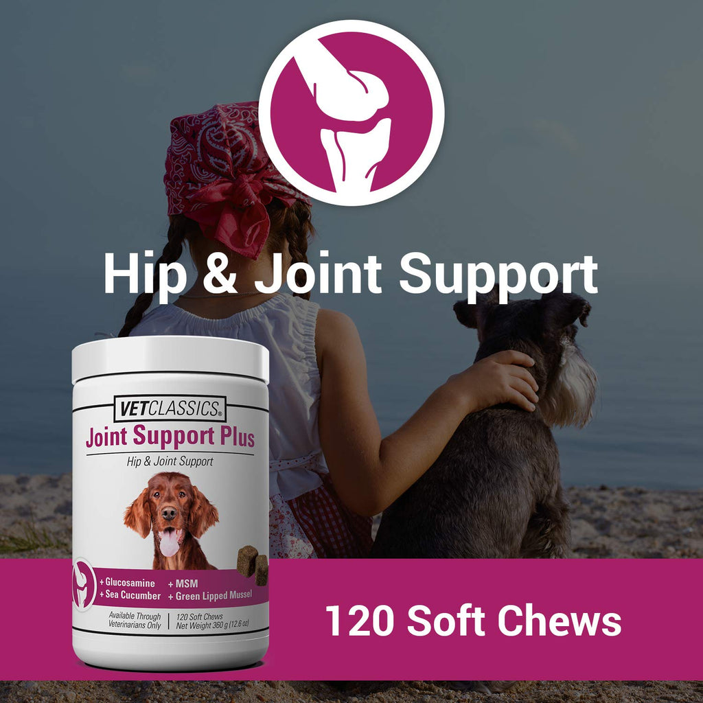 120 Soft Chews Dog Joint Support Supplement P4264