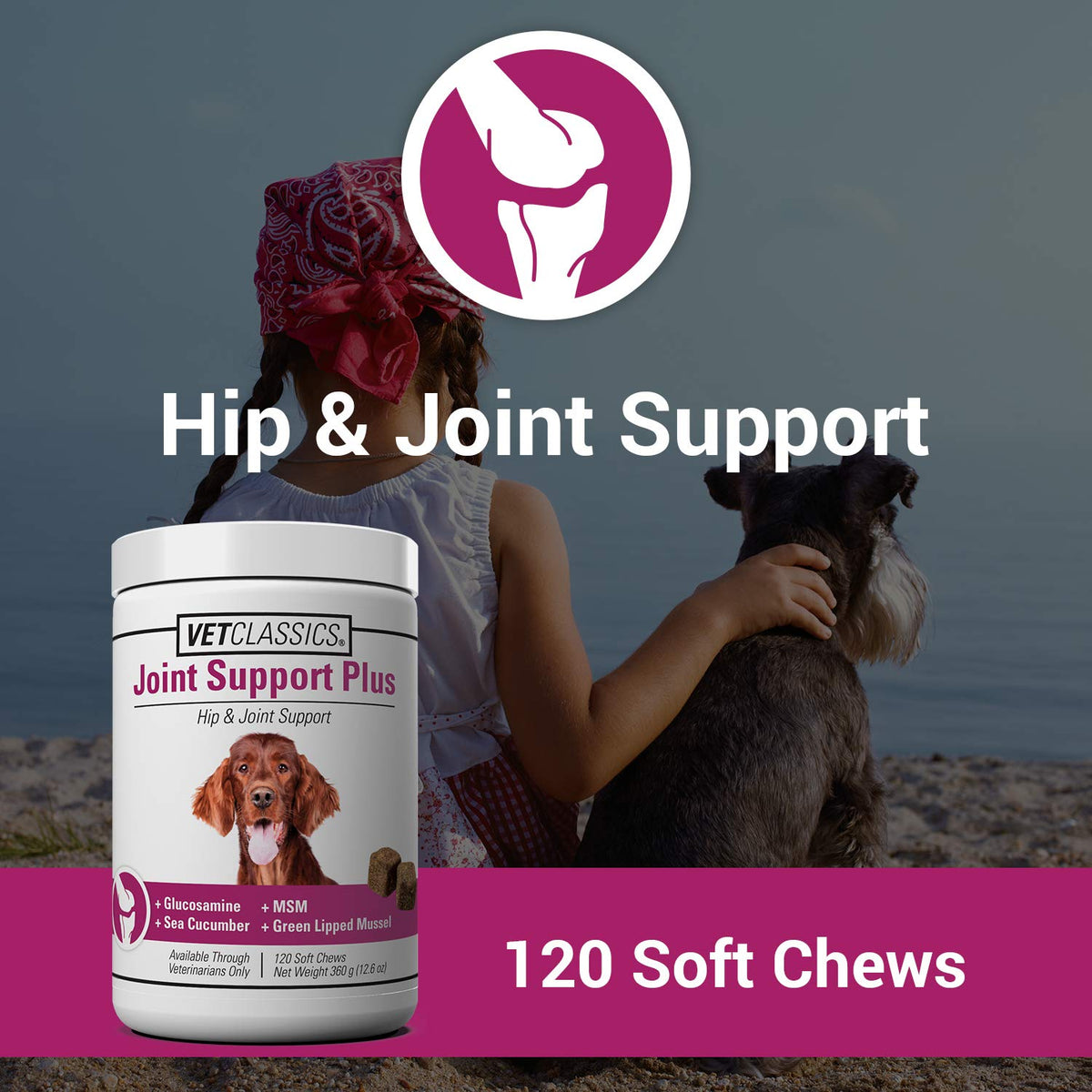 120 Soft Chews Dog Joint Support Supplement J145