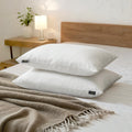 Feather and Down Pillows, 100% Organic Cotton Cover F5549