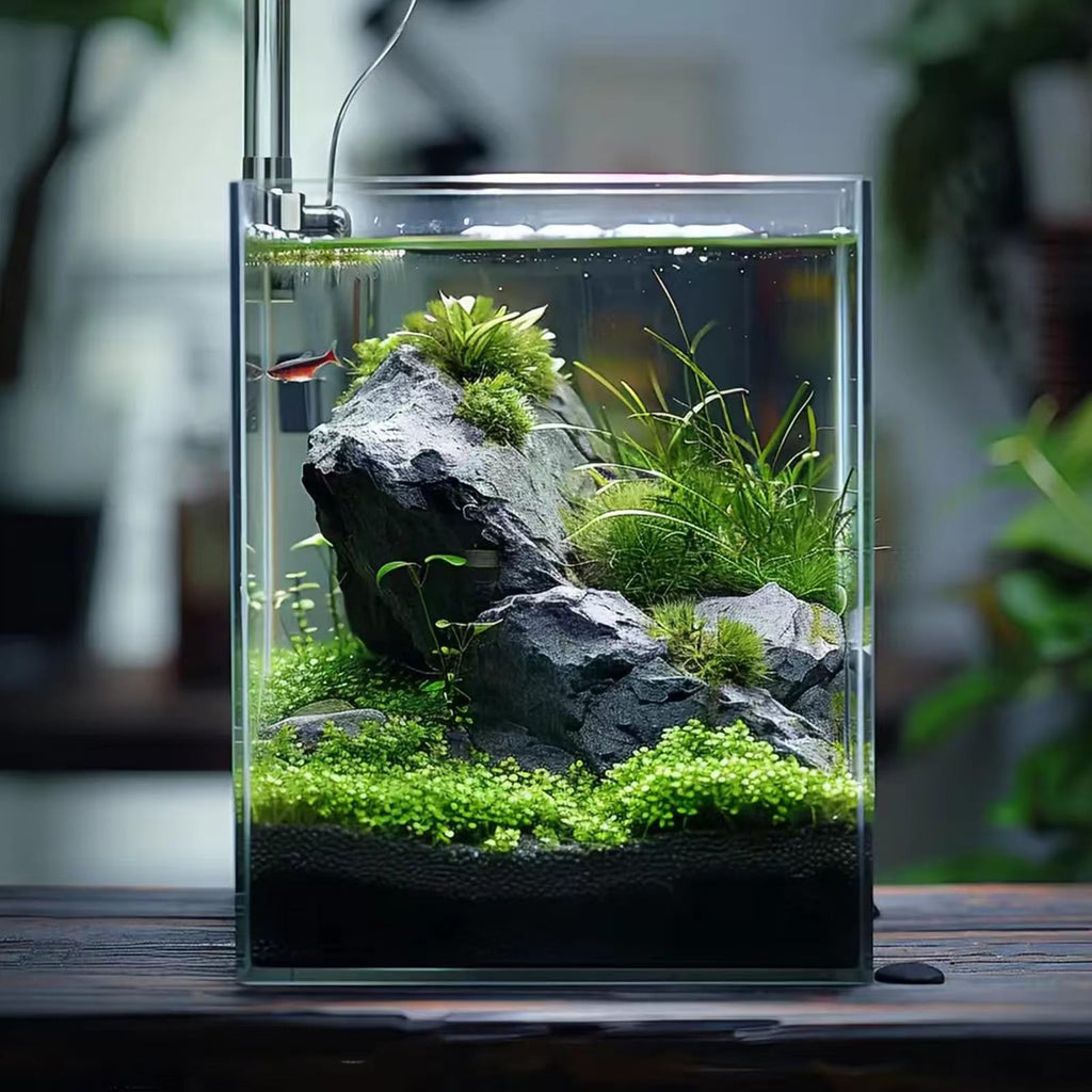 3 Gallon Glass Fish Tank G30844