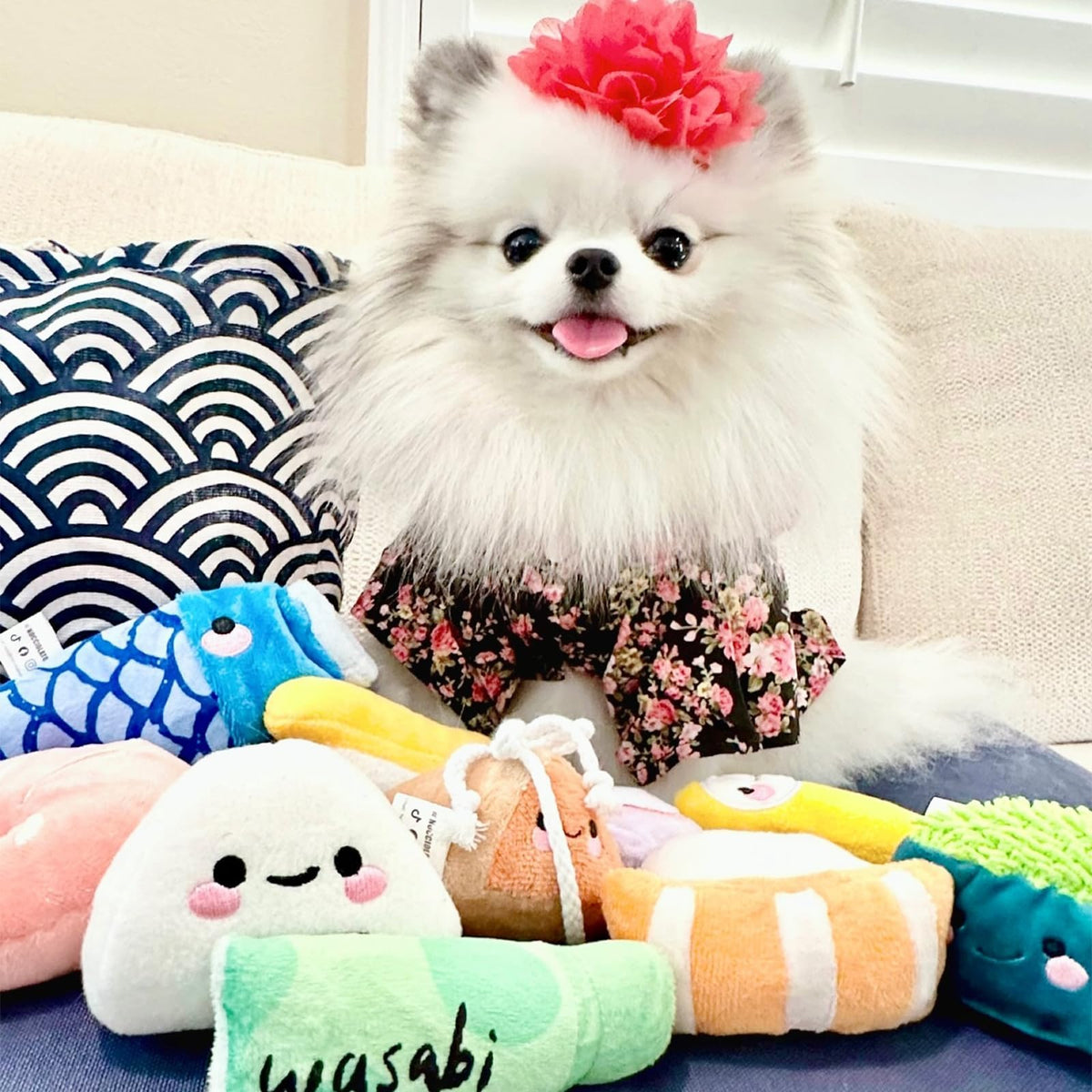 10 PC Squeaky Plush Dog Toys with Bag R96977
