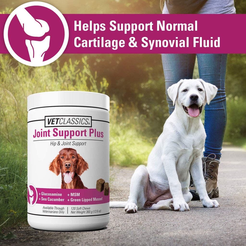 120 Soft Chews Dog Joint Support Supplement P4264