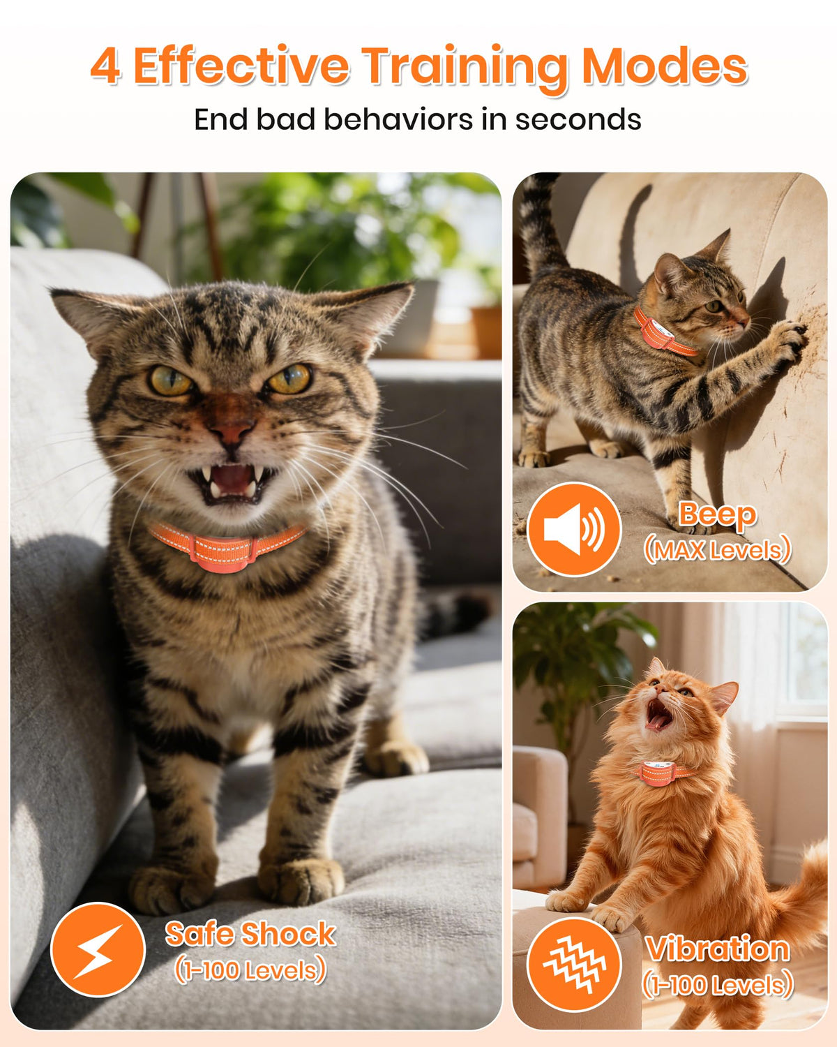 Lightweight Waterproof Cat Training Collar with Remote J1598