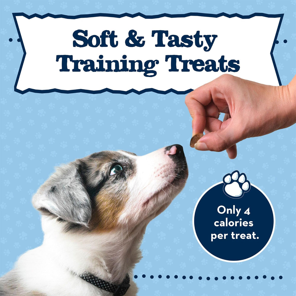 Chicken Puppy Training Treats, 4 oz Y980
