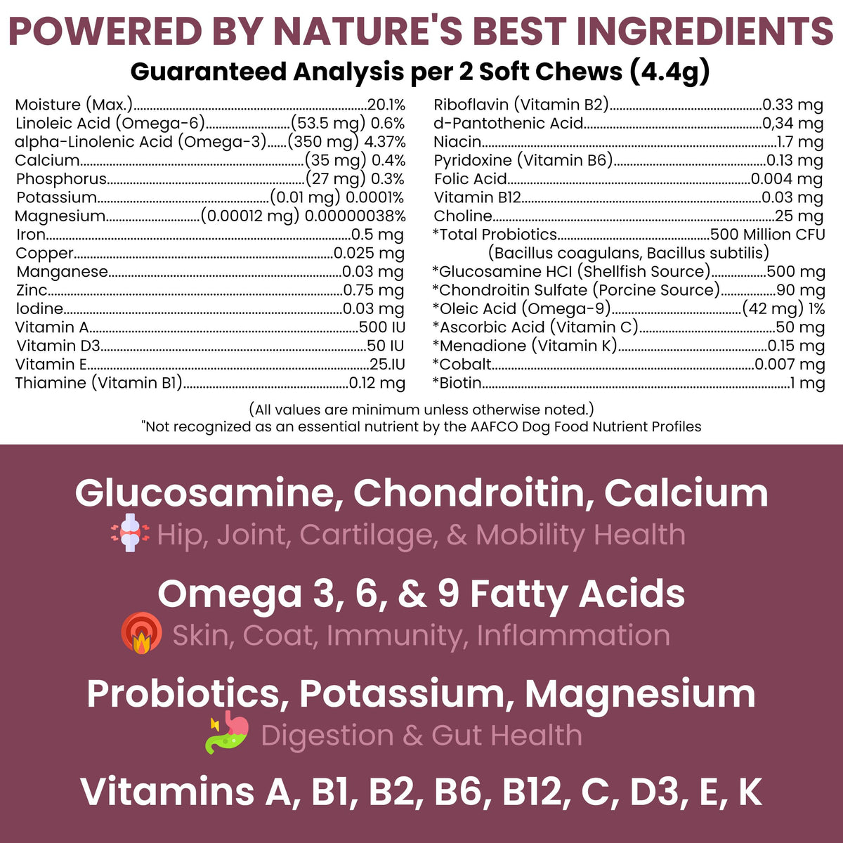 Dog Multivitamin Soft Chew B325760