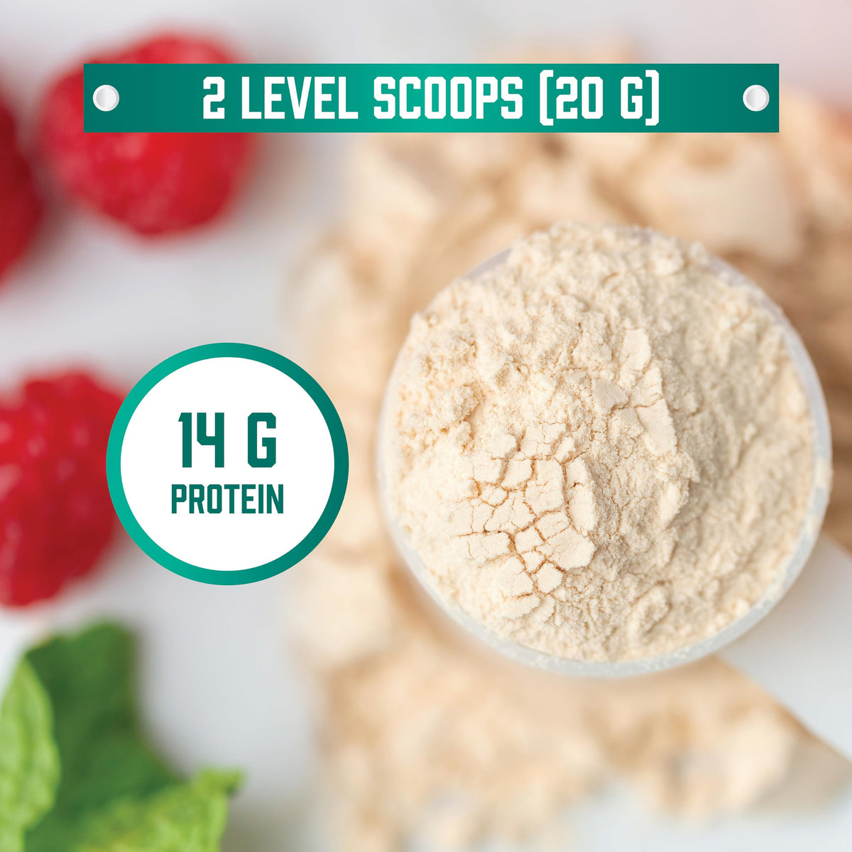 Organic Pea Protein Powder 1.5 lbs E6092