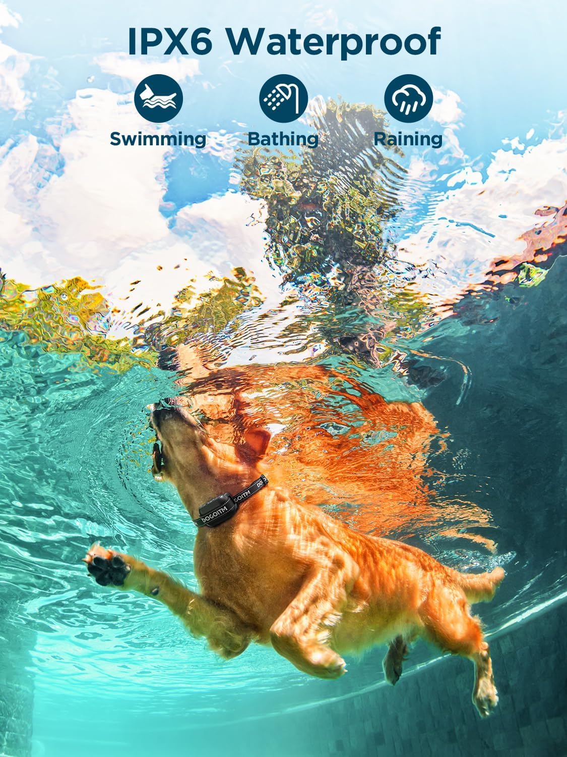 Wireless GPS Dog Fence IPX7 Waterproof N2158