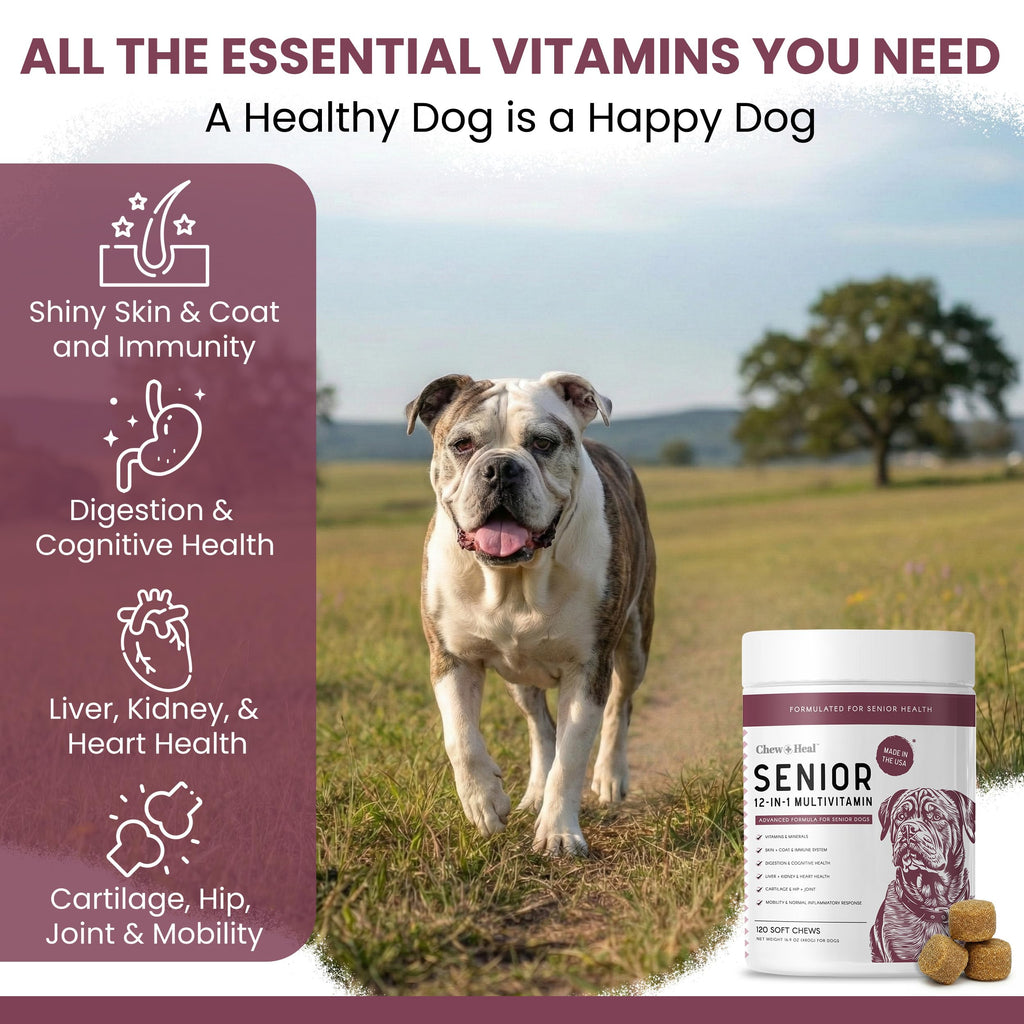 Dog Multivitamin Soft Chew B325760