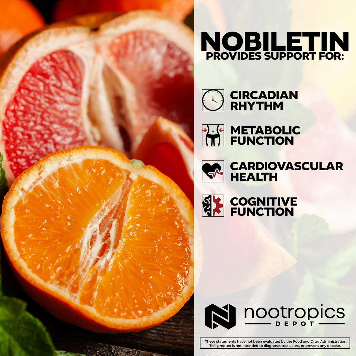 250mg 30 Count Nobiletin Capsules C17156