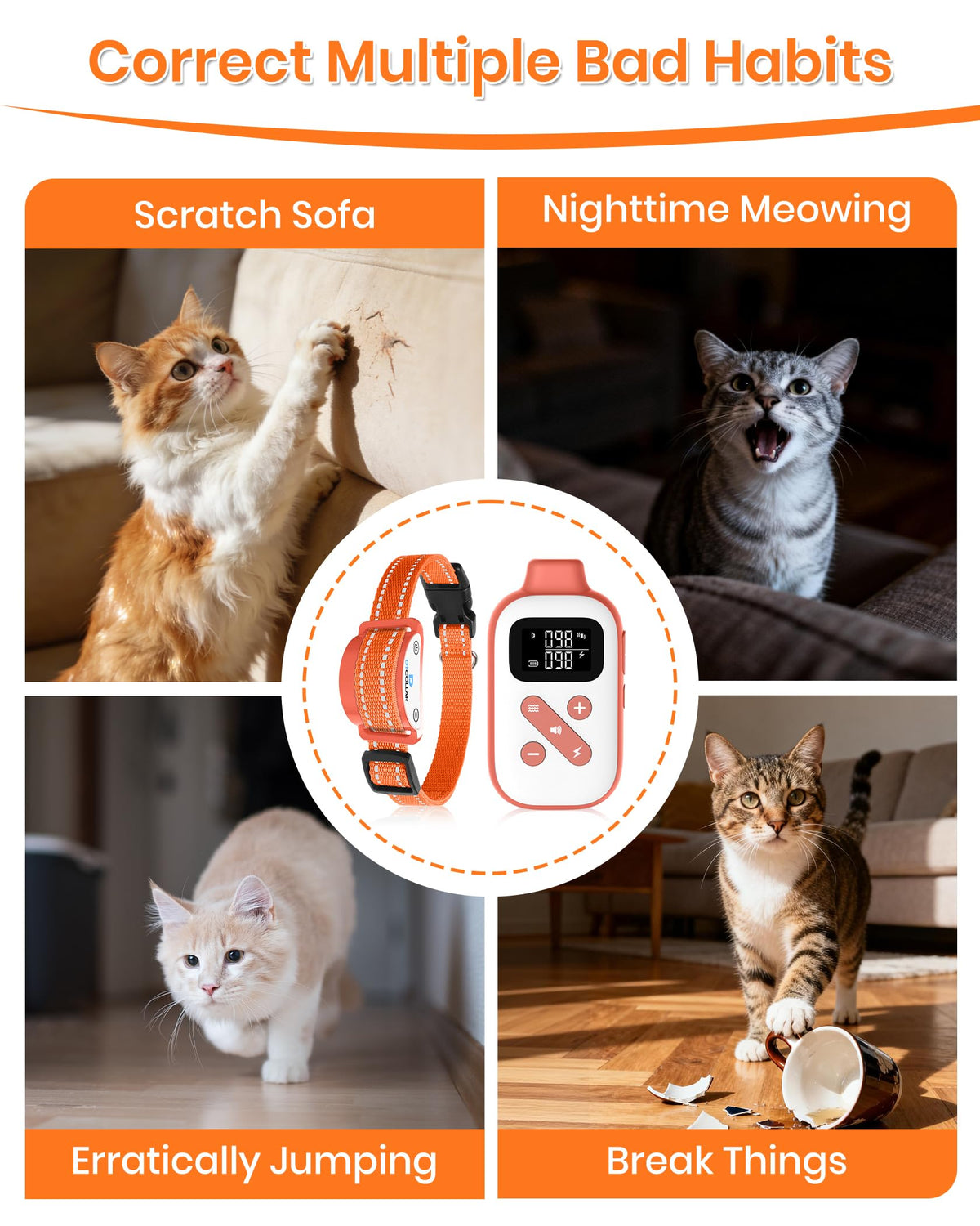 Lightweight Waterproof Cat Training Collar with Remote J1598