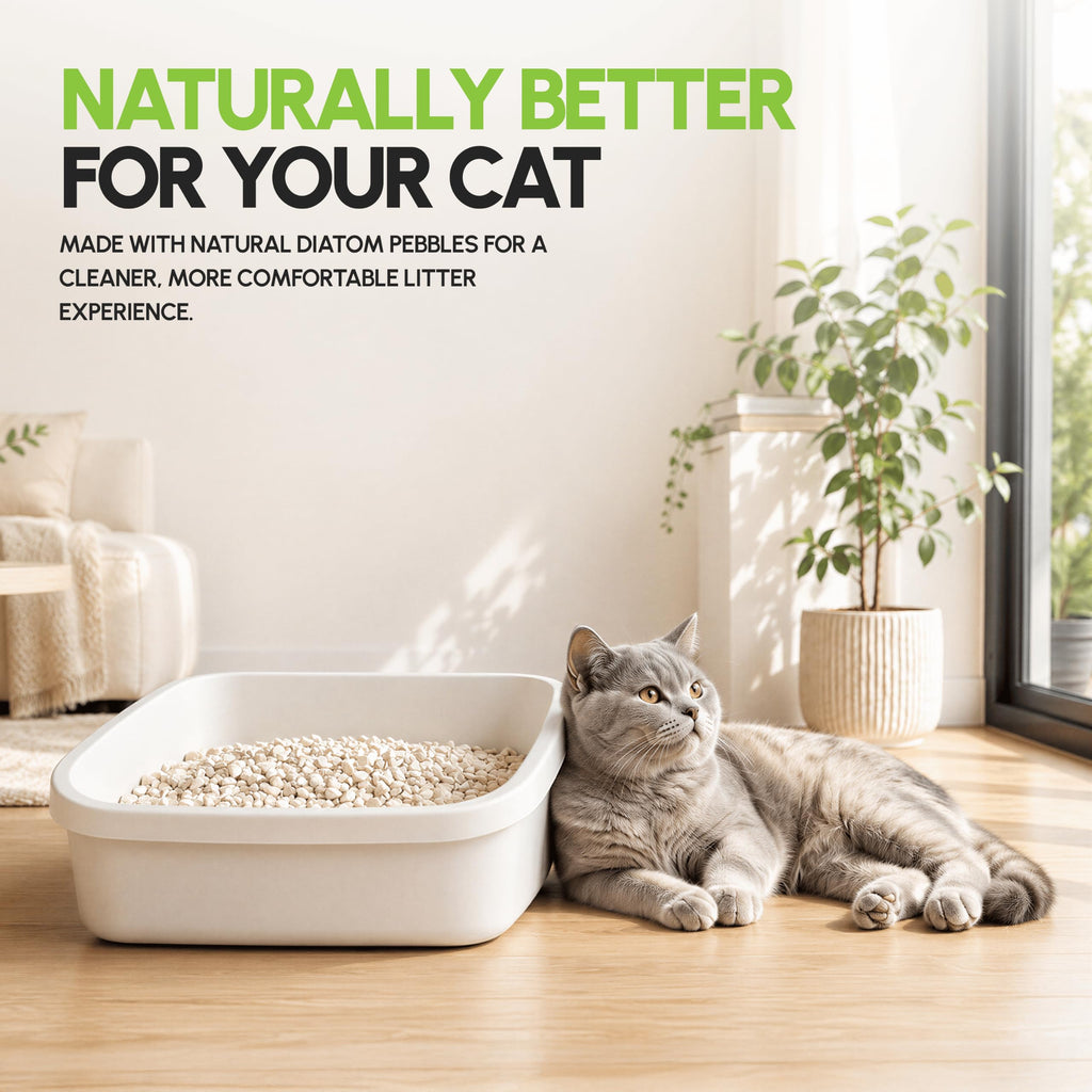 All Natural Unscented Cat Litter 8 lbs O915703