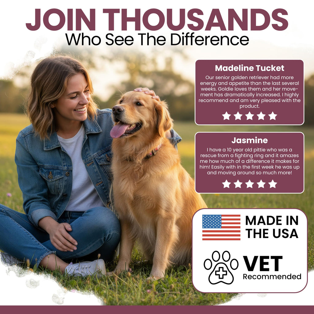 Dog Multivitamin Soft Chew B325760