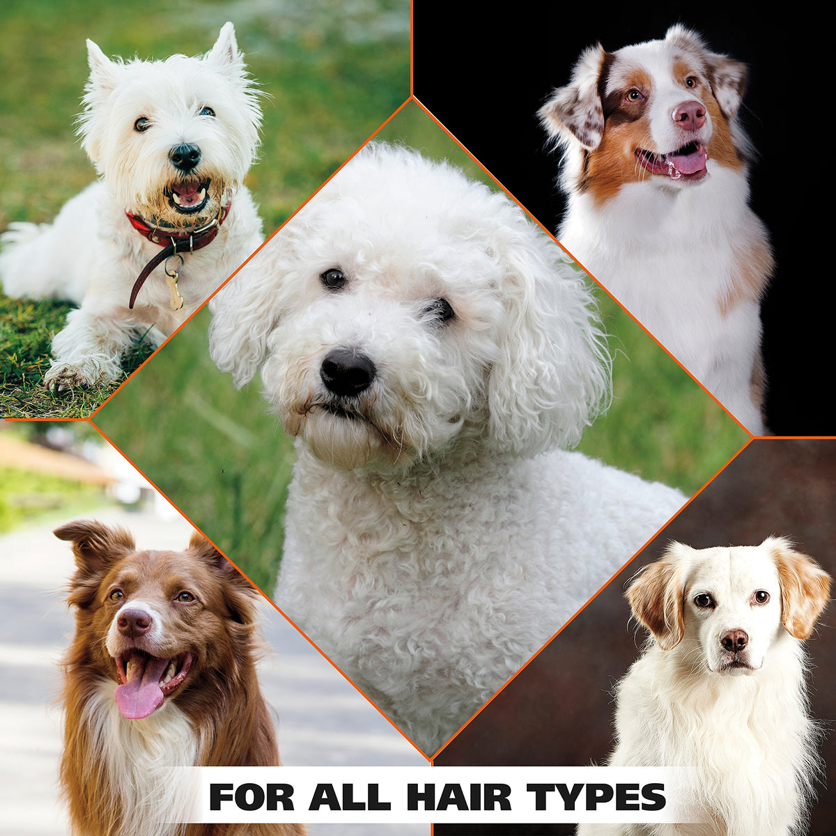 White Pear Dog Shampoo 24 oz D6647